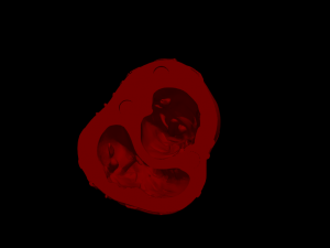 Heart with stand Modelo 3D