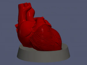 Heart with stand 3D Model