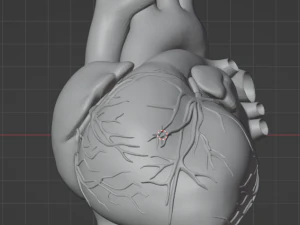 Heart with stand 3D Model