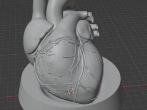 Heart with stand 3D Model