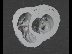 Heart with stand 3D Model