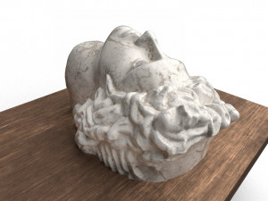 the head of david 3D 模型