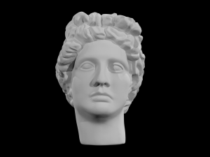 the head of david 3D 模型