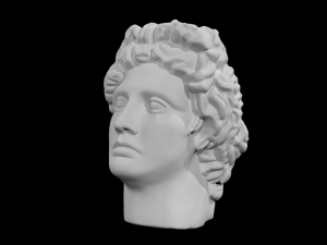 the head of david 3D 模型