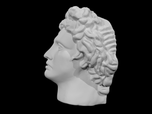 the head of david 3D 模型