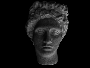 the head of david 3D Model