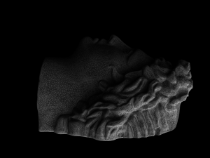 the head of david 3D 模型
