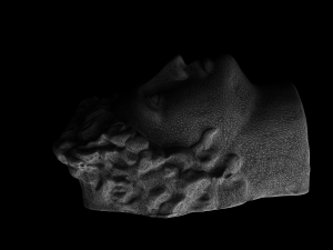the head of david 3D 模型