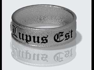 braselet ring Model Cetak 3D