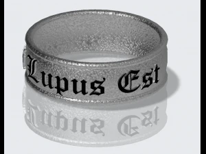 braselet ring 3D Print Model