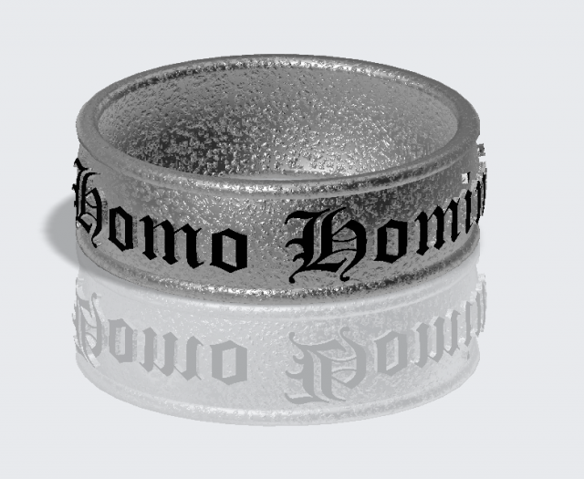 braselet ring 3D 打印模型 .c4d .max .obj .3ds .fbx .stl .blend 