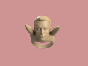 ELON RING 3D Print Model