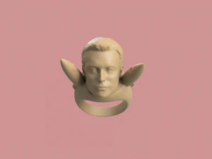 ANILLO ELON Modelo de impresión 3D