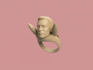 ELON RING 3D Print Model