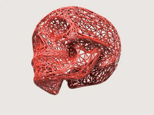 LINE SCULL 3D Print Model