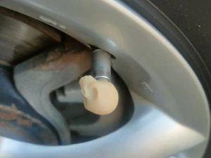 TUTUP KATUP TENGKORAK Model Cetak 3D