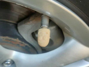 RICK VALVE CAP 3D Print Model