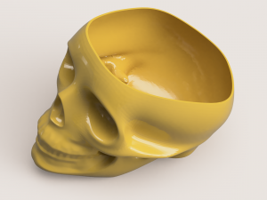 SCULL 3D Print Model