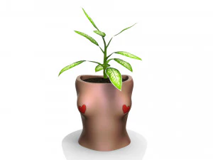 donna vaso 3 - stl per la stampa 3d Modello 3D