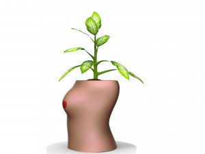 woman pot 3 - stl for 3d printing Modello 3D