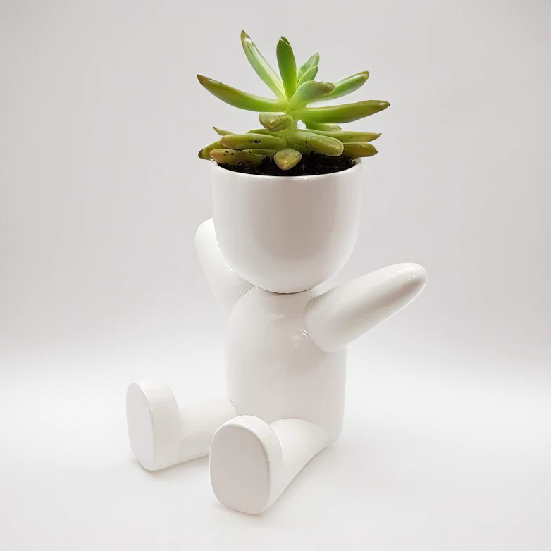 Adorable 3D Printable Sitting Planter STL File Cute Succulent Holder Digital Design for Home Decor 3D Print Model .c4d .max .obj .3ds .fbx .stl .blend 