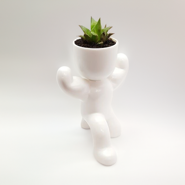 Strong Man Planter Digital STL File - 3D Printable Muscle Man Planter for Home Decor Succulents an Modelo de impresión 3D .c4d .max .obj .3ds .fbx .stl .blend 
