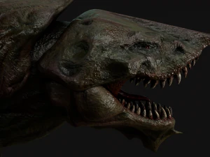 turt creature game ready model 3D Model