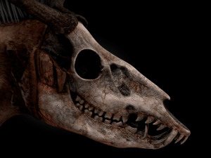 Monster Pak 3D Model