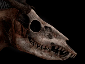 Monster Pak 3D Model