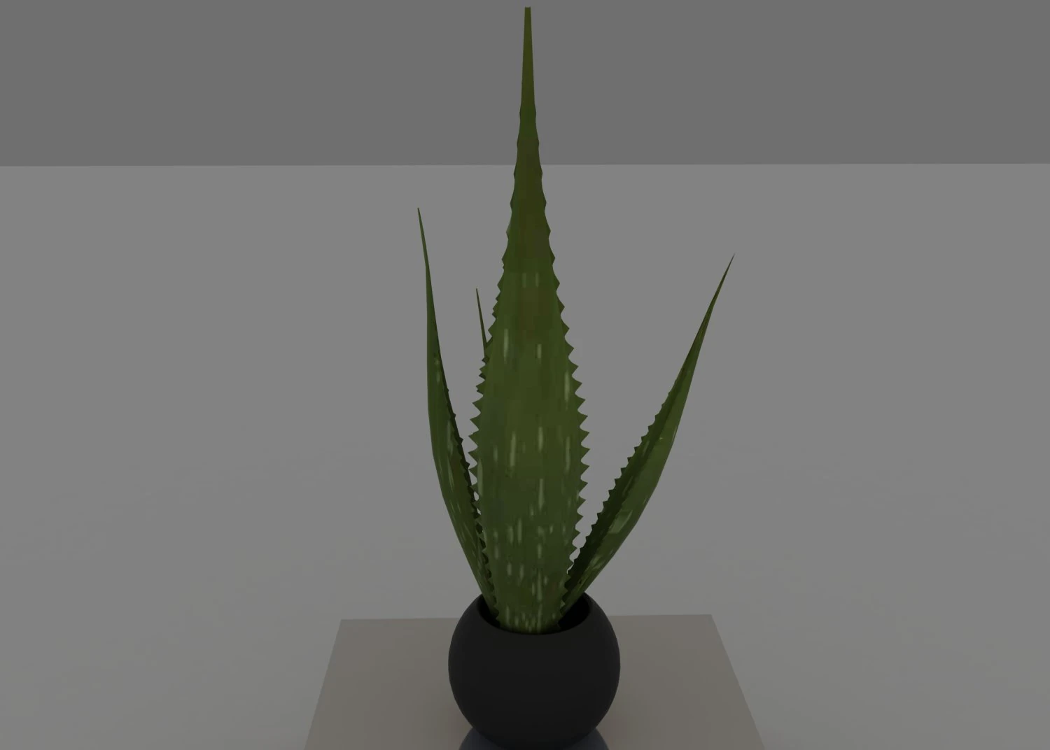 aloe 3D Model .c4d .max .obj .3ds .fbx .stl .blend