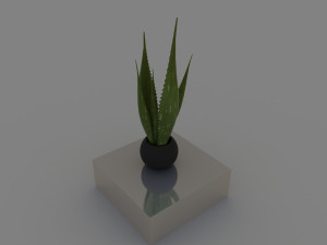 aloe 3D Модель