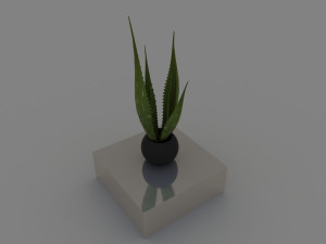 aloe 3D Модель