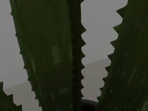 aloe 3D Model