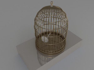 cage 3Dモデル