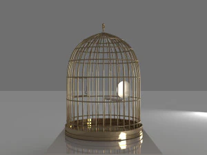 cage 3D Model