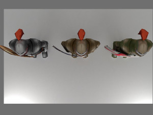 armor and shield 3Dモデル