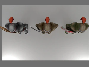 armor and shield 3D Model