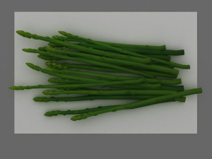 asparagus 3D 模型