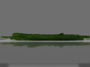 asparagus 3D 模型