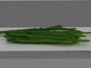 asparagus 3D 模型