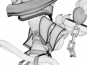 Gatto dell'anime Modello 3D