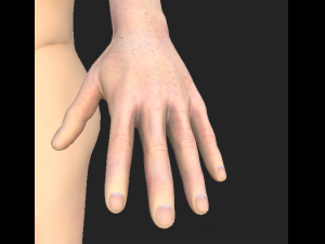 boy david cycles-evee 3D 模型