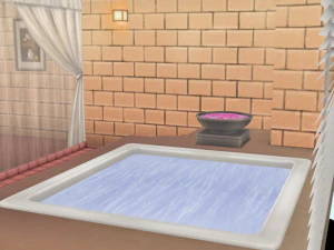 CM3D2 - Double bedroom with jacuzzi 3D Model