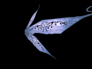 3D Varlıklar Paketi 1 3D Model