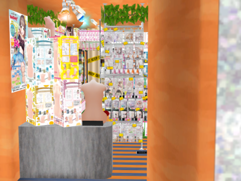 CM3D2 - Adult Shop 3D Model