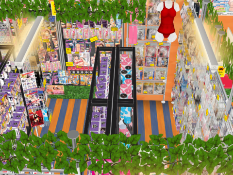CM3D2 - Adult Shop 3D Model
