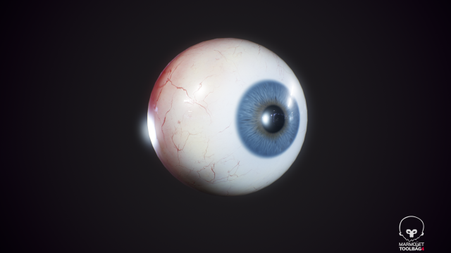 eyeball realistic 3D मॉडल .c4d .max .obj .3ds .fbx .stl .blend 