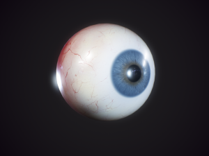 eyeball realistic 3D Model