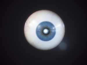 eyeball realistic 3D मॉडल