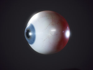 eyeball realistic 3D मॉडल